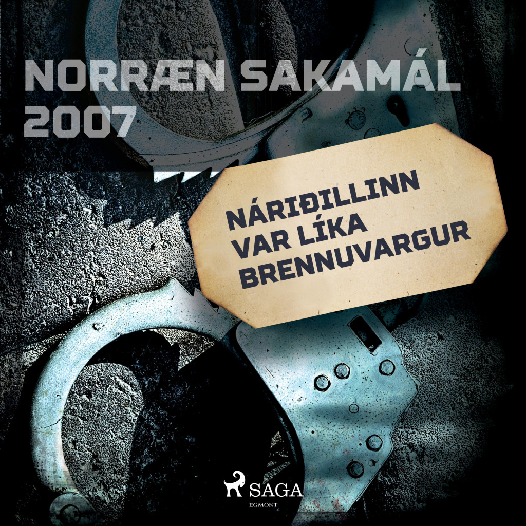 Náriðillinn var líka brennuvargur - Norræn sakamál 2007